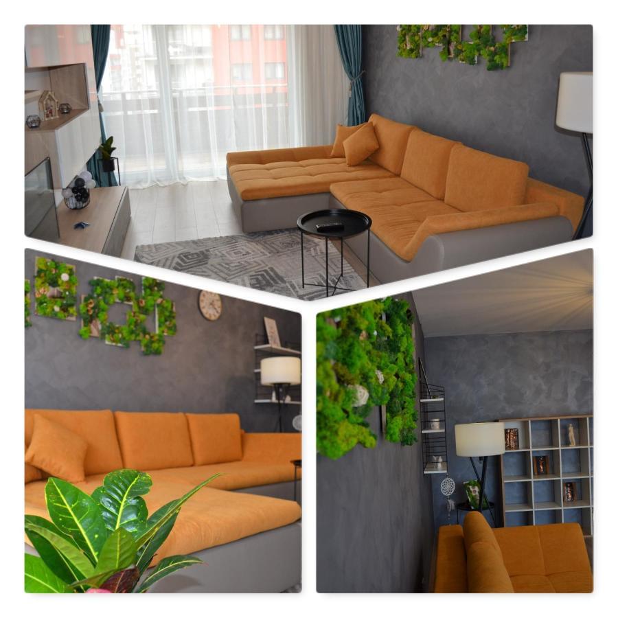 Marimonti Apartment Braşov Exterior foto